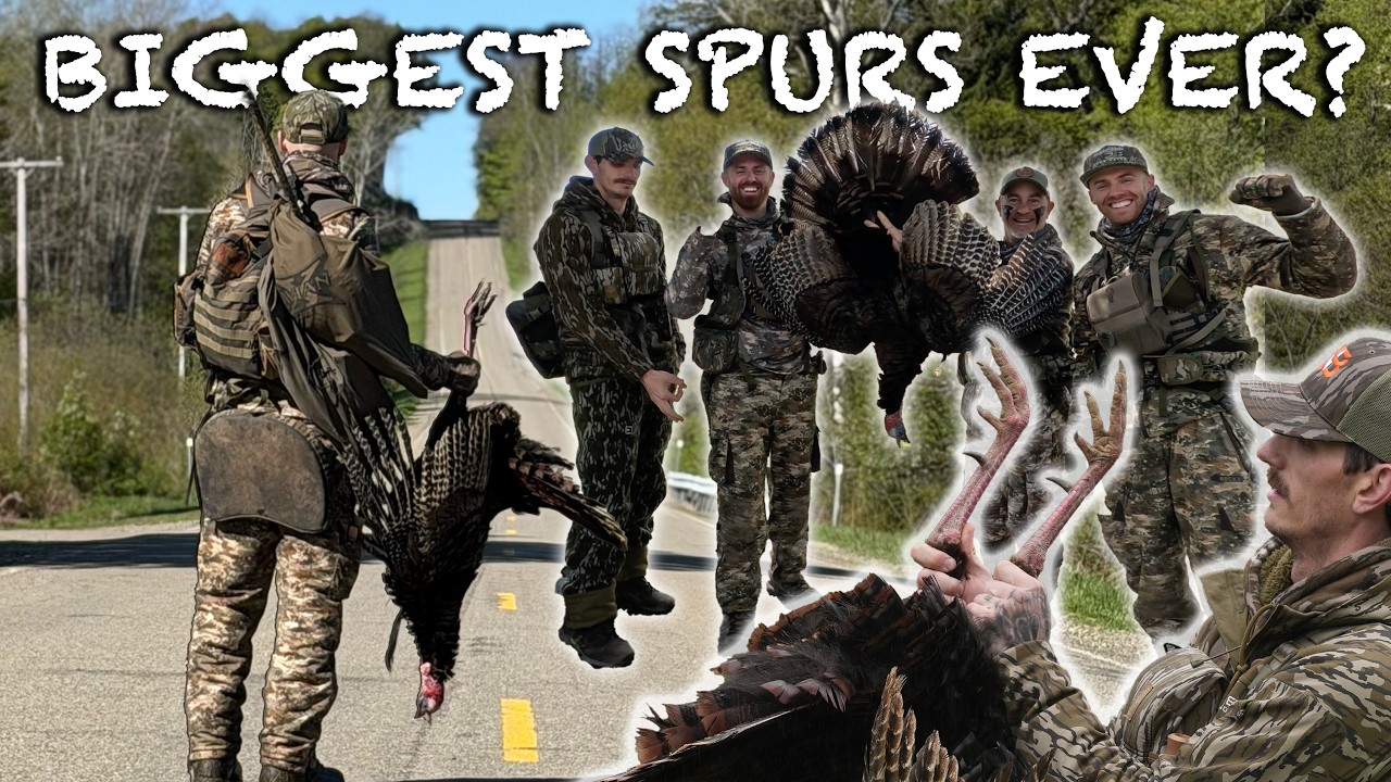 Turkey Week in New York - Biggest Spurs Ever?
