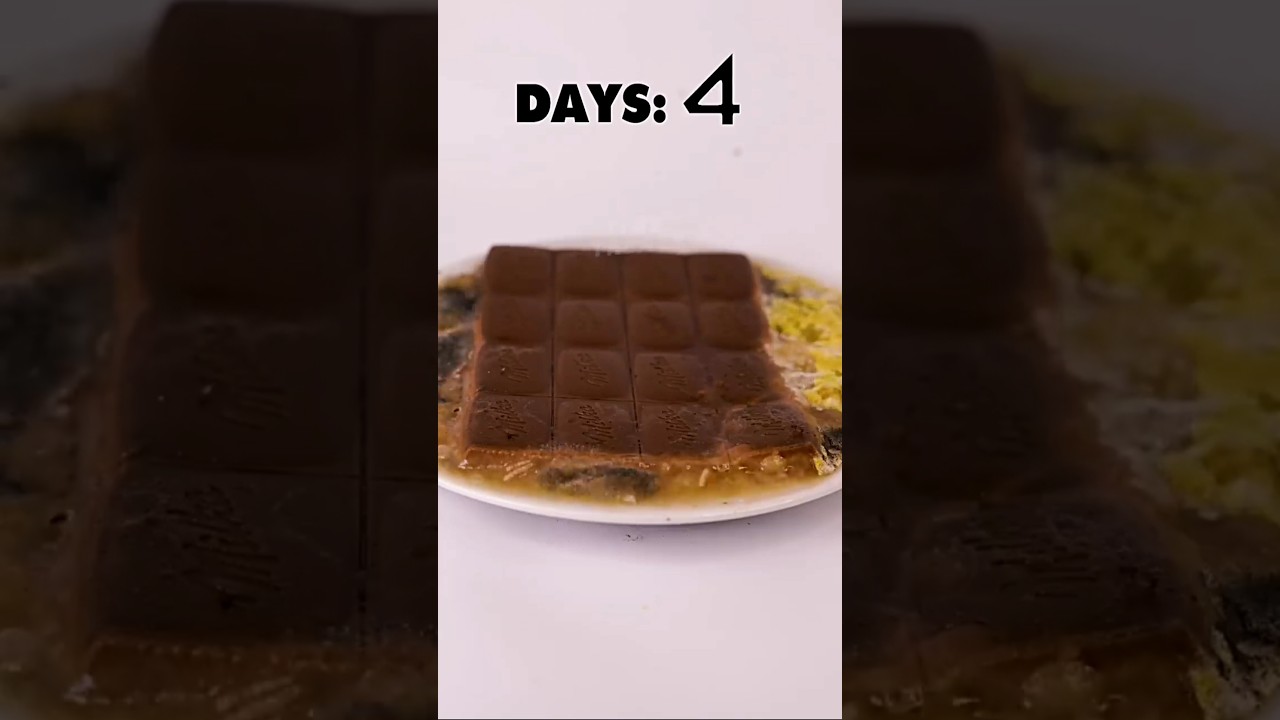 Chocolate Timelapse short..||