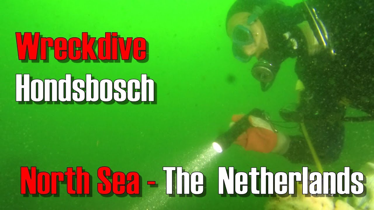Wreckdive Hondsbosch - June 25th, 2018