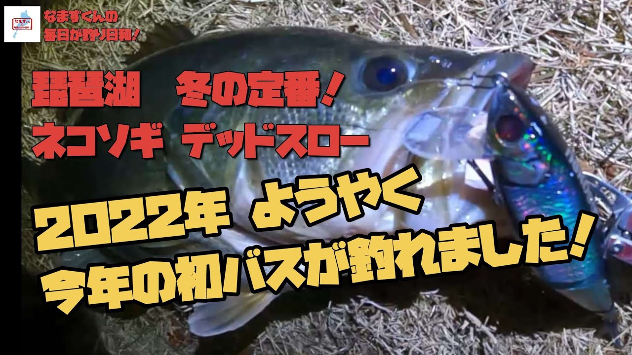 琵琶湖 ネコソギデッドスロー｢2022年ようやく今年の初バスが釣れました