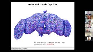 MakingConnections - Prof. Olaf Sporns