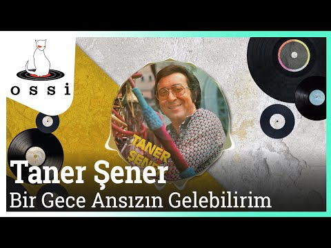 Taner Şener - Bir Gece Ansızın Gelebilirim