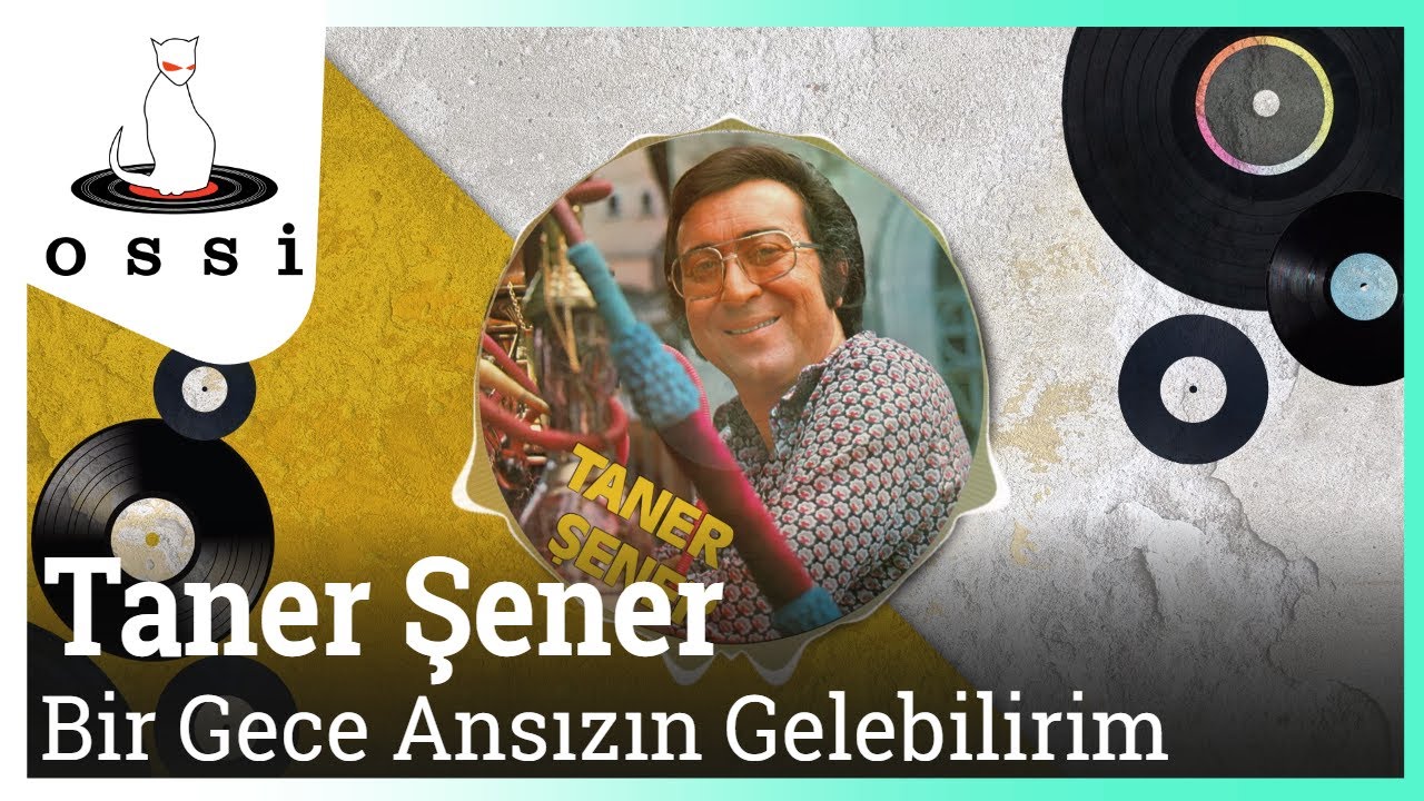 Taner Şener - Bir Gece Ansızın Gelebilirim