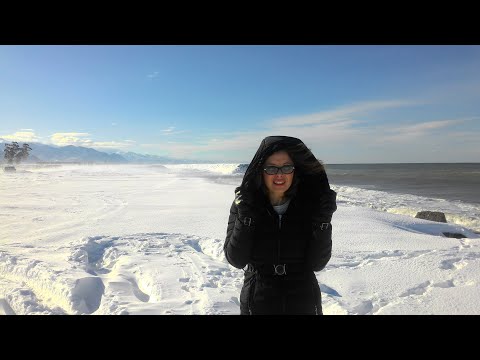 დაზიანებული პლანეტების დამუშავება