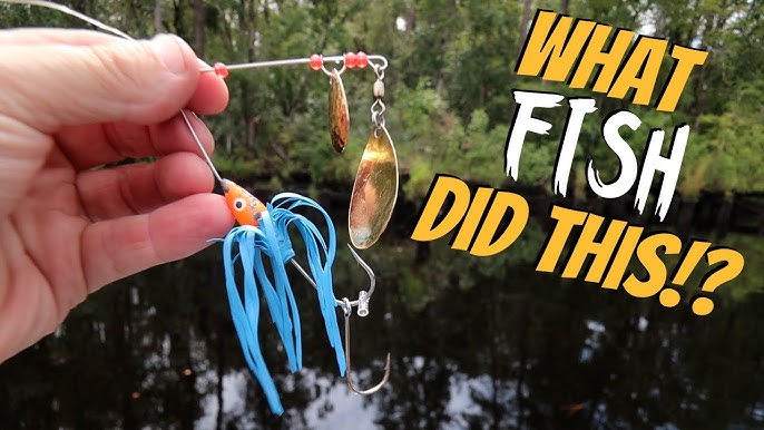 New Members Vid…Flat Rubber Spinnerbait Skirts 