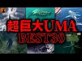 【総集編47分】カメラが捉えた超巨大生物の数々...UMA未確認生物映像BEST30選