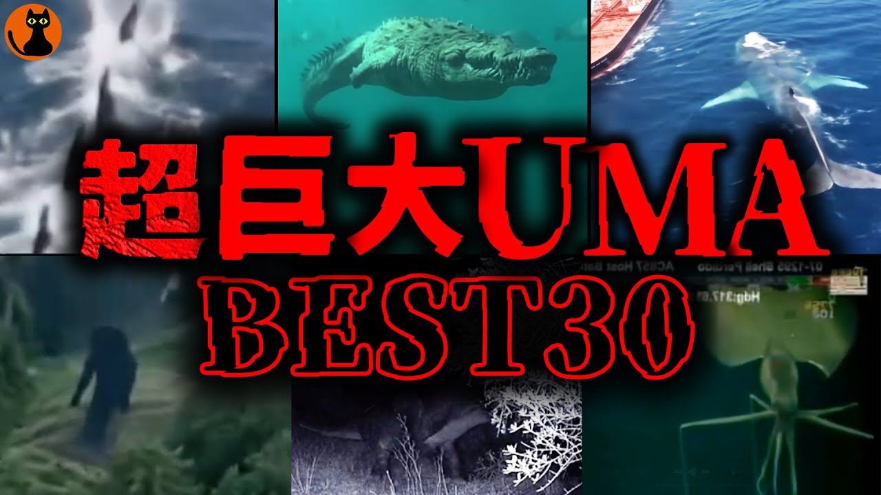 【総集編47分】カメラが捉えた超巨大生物の数々...UMA未確認生物映像BEST30選