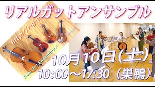 ガット弦アンサンブル ヴァイオリン 体験参加募集 10/10 巣鴨