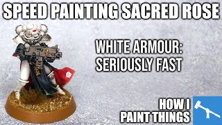 Army Painting: Order of the Sacred Rose Easy Mode! [How I Paint Things]