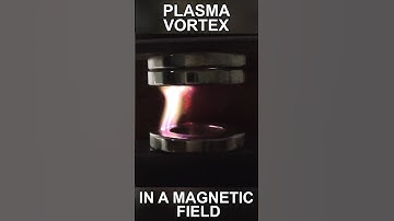 Plasma Vortex in a Magnetic Field