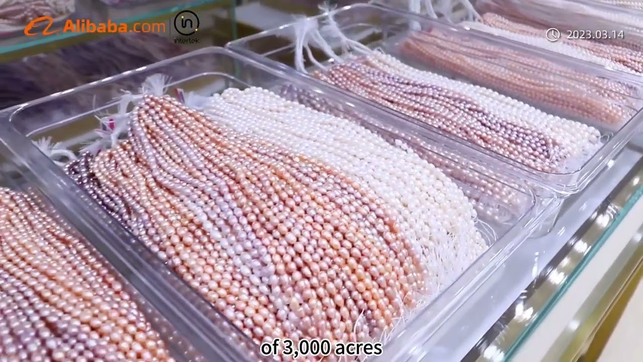 Introduction to Zhuji Integrity Pearl Co., Ltd #pearl #necklace #jewelry #freshwaterpearls