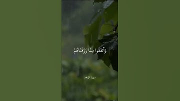 وَالَّذِينَ صَبَرُوا ابْتِغَاءَ وَجْهِ رَبِّهِمْ وَأَقَامُوا الصَّلَاةَ || سورة الرعد || علي جابر