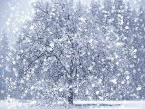 VIVALDI - Winter from The Four Seasons