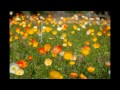 延岡植物園その１ の動画、YouTube動画。