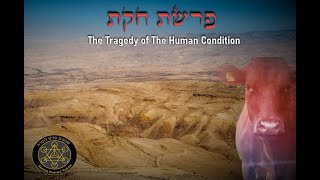 Parashat Chukat: Tragedy of The Human Condition Part 1