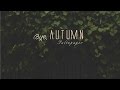 Lyrics - Vietsub || Saltnpaper - Bye, Autumn