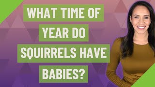 What time of year do squirrels have babies?