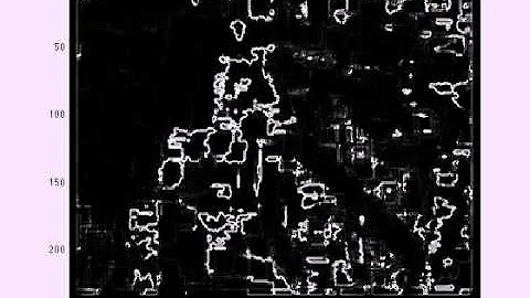 filtered orientation