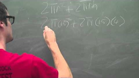 Surface area with nets