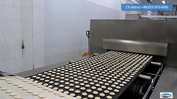 skywin full automatic cookies line