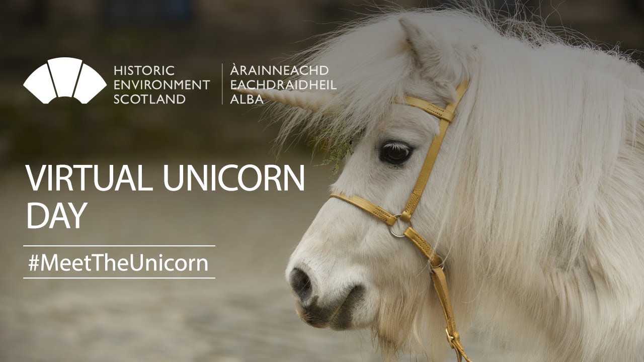 Meet The Unicorn - YouTube