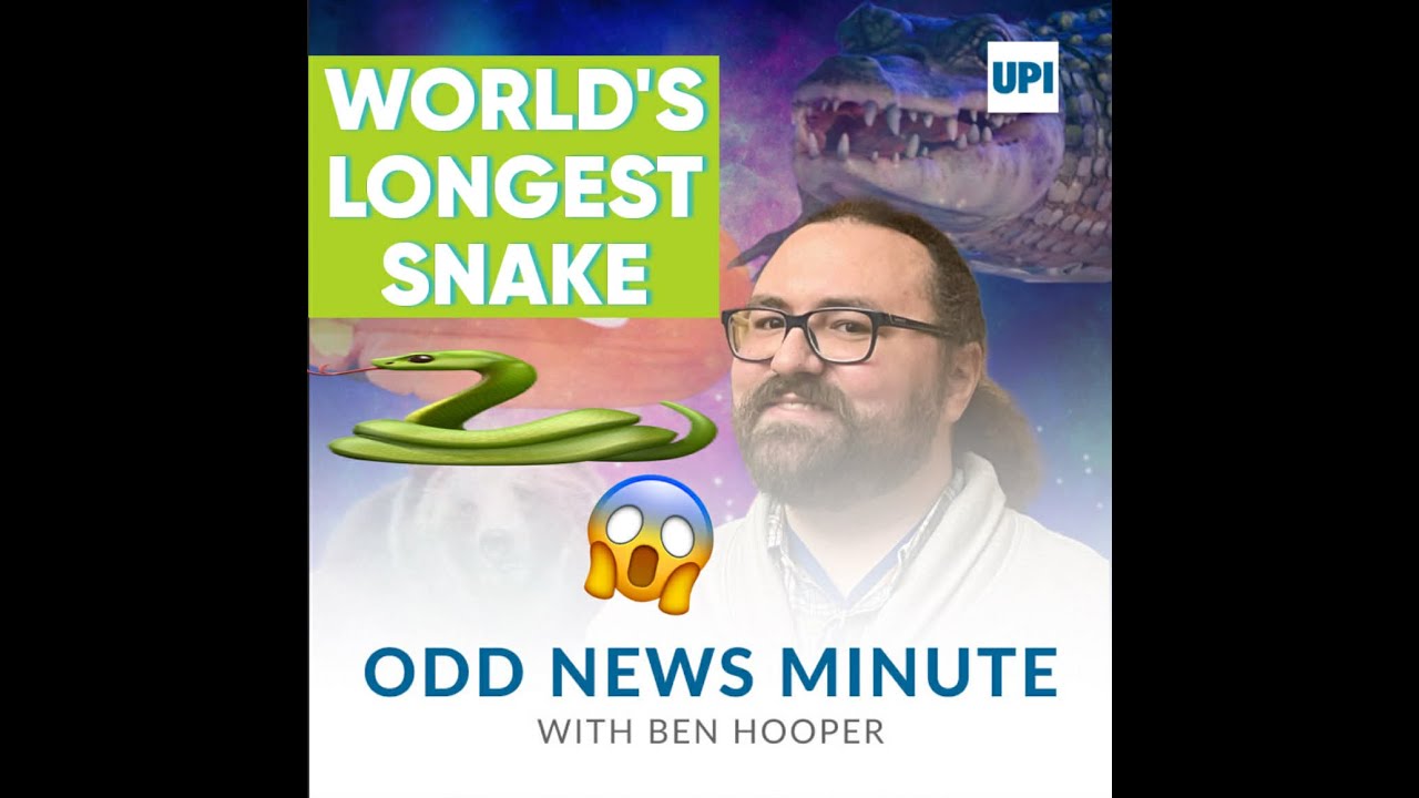 Odds and Ends: World's longest snake, ice skaters drift away