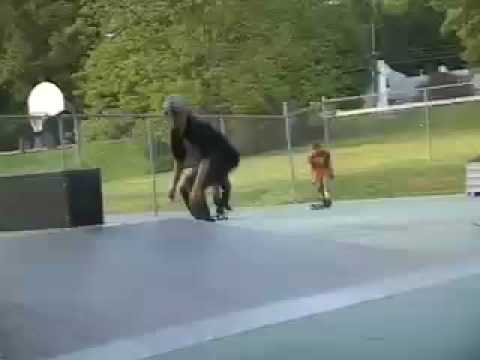 scott stevens bangarang skate part