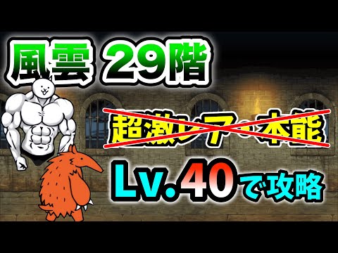 風雲にゃんこ塔29階 超激レアなし&本能なし レベル40以下で簡単攻略