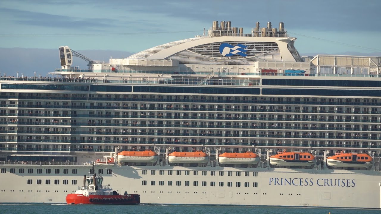 cruise ships napier