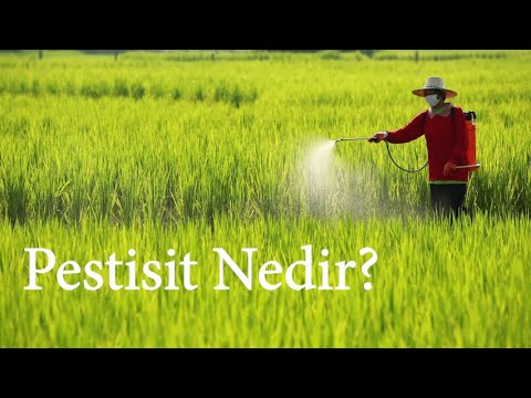 Video: Pestisit tehlikeli bir atık mıdır?
