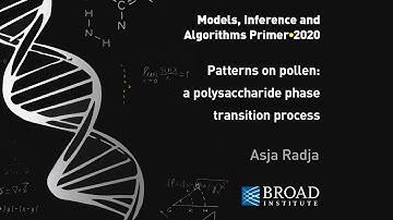 MIA: Asja Radja, Patterns on pollen: a polysaccharide phase transition process