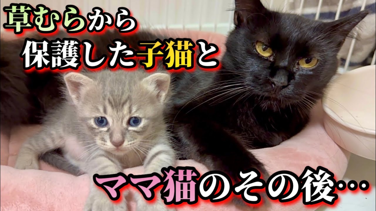 あの親子は今… - YouTube