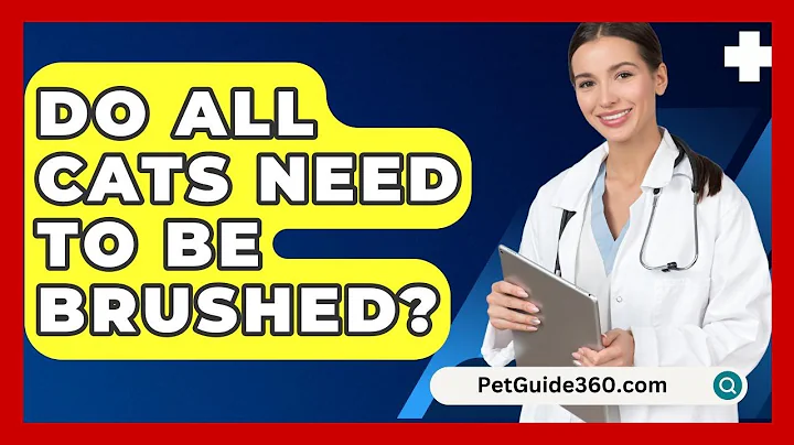 Do All Cats Need To Be Brushed? - PetGuide360.com