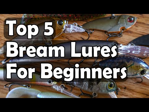 Top 5 Bream Lures For Beginners 