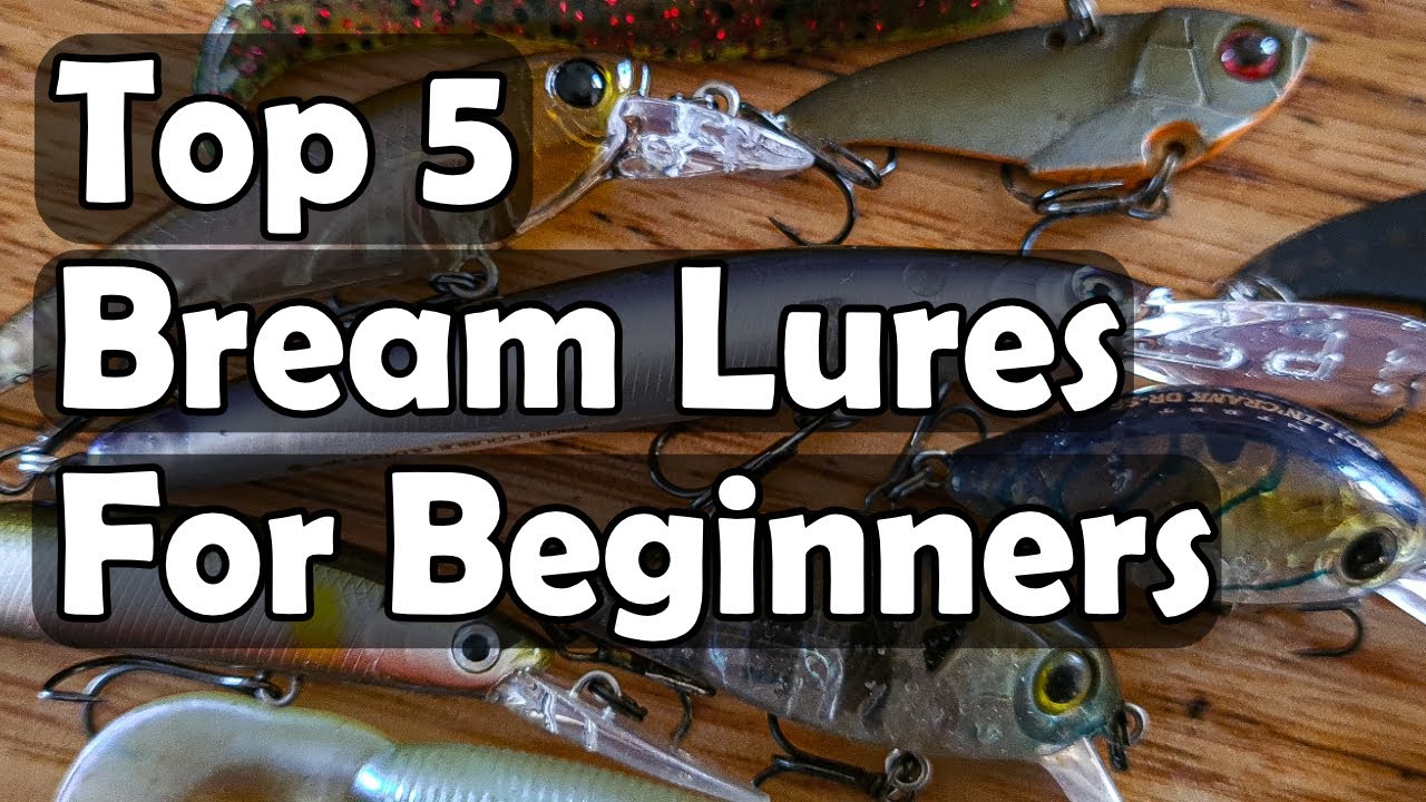 Top 5 Bream Lures For Beginners 