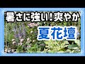 《花壇リフォーム》放置花壇をテコ入れ！暑さに強い宿根草や草花・カラーリーフで夏らしい爽やかガーデンに／バラが育たない花壇の原因と対策・土壌改良・半地植え・レイアウト