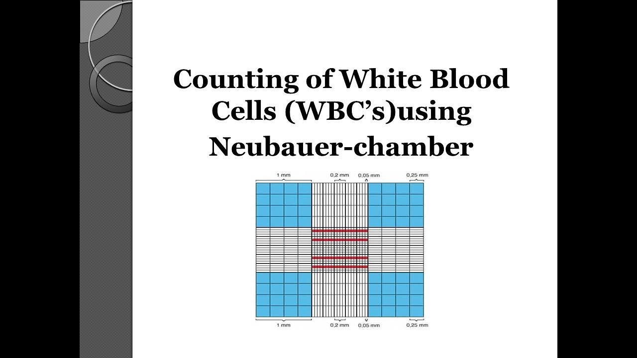 wbc count neubauer chamber formula