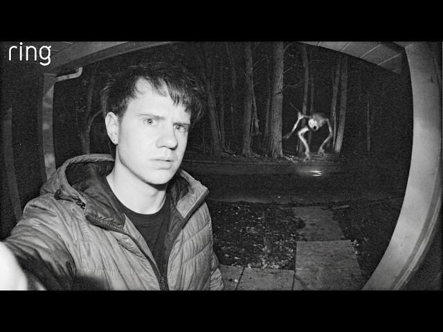 Investigating Strange Creatures Caught on Camera