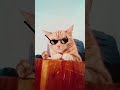 My goofy cat #music #edit #phonk #audio #history
