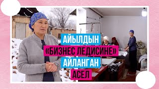 Айылдын бизнес-ледисине айланган Асел