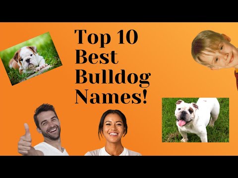 Top 10 bulldog names of 2022!