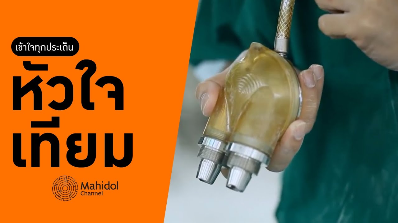'หัวใจเทียม' ทำงานอย่างไร? [หาหมอ by Mahidol Channel]