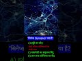 "सिनैप्स (Synapse)" क्या है?#biology #ssc #gk #gs #gkgs #shortsgk #shorts #shortsfeed #exam #cgl
