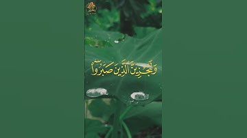 ولنجزين الذين صبروا أجرهم بأحسن ما كانوا يعملون | ما تيسر من سورة النحل | القارئ عبد الرحمن مسعد