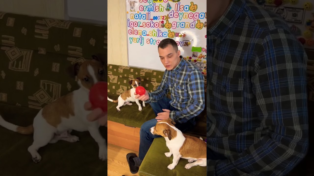 Тренировка в игровом процессе / Часть 2 