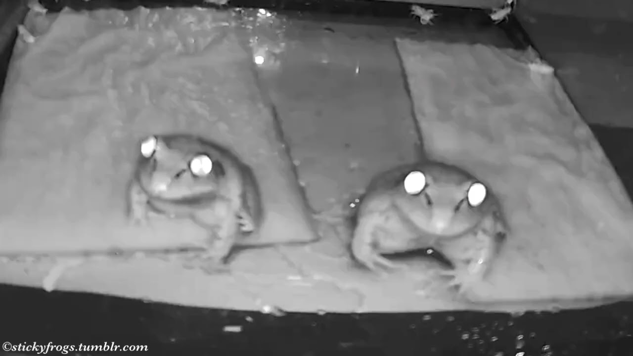 Trevor tells Beverley about WARK! (Beverley agrees!)