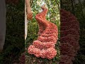 [ASMR] Stepping on COLOSSAL Natural Mushrooms! 🍄🌲