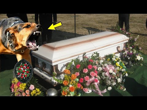 Видео: Какво е гробна могила?