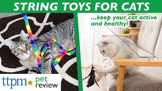String Toys for Cats Review | Toys to Keep Your Cat Active and Healthy | (We Tested Them All)