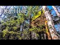 ДОМ НА ДЕРЕВЕ | УЛУЧШЕНИЯ И ОБУСТРОЙСТВО | BUSHCRAFT HOUSE on the TREE - UPGRADE - DIY